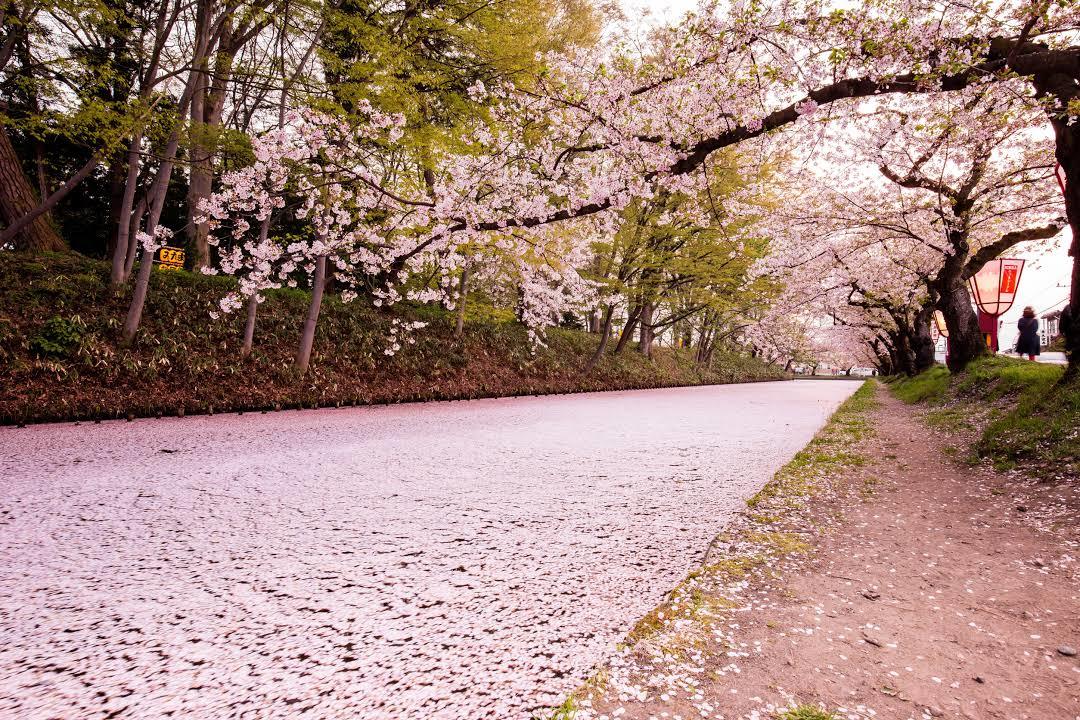 Park van Hirosaki